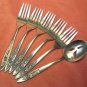 ONEIDA MY ROSE 5 SALAD FORKS & PIERCED JELLY SERVER COMMUNITY STAINLESS FLATWARE SILVERWARE