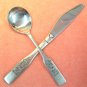 HANFORD FORGE MONMOUTH M'M! M'M! GOOD! CAMPBELLS SPOON & KNIFE STAINLESS FLATWARE SILVERWARE