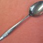 FONTANA ROSE PLACE SPOON STAINLESS FLATWARE SILVERWARE