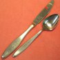 EASTERLING RHINELAND TEASPOON & KNIFE STAINLESS FLATWARE SILVERWARE