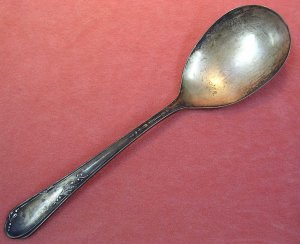 ONEIDA Wm A ROGERS MEADOWBROOK HEATHER CASSEROLE SPOON FLATWARE SILVERWARE SILVERPLATE