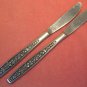 PAGEANT HARVEST 2 PLACE KNIVES STAINLESS FLATWARE SILVERWARE