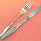 ONEIDA LTD ROSE DUET KNIFE & FORK STAINLESS FLATWARE SILVERWARE