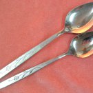 ONEIDA CAPISTRANO ONEIDACRAFT DELUXE DEMI & TEASPOON STAINLESS FLATWARE SILVERWARE