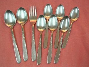 ONEIDA SPICE FORK & 8 SPOONS STAINLESS FLATWARE SILVERWARE