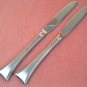 GORHAM THEME  2 PLACE KNIVES STAINLESS FLATWARE SILVERWARE