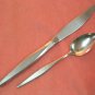 ONEIDA WINDRIFT TEASPOON & KNIFE LTD WM A ROGERS PREMIER STAINLESS FLATWARE SILVERWARE