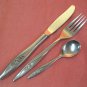 ONEIDA LASTING ROSE FORK KNIFE & BABY SPOON DELUXE STAINLESS FLATWARE SILVERWARE