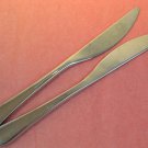 GOURMET SETTINGS WINDERMERE 2 KNIVES GS STAINLESS FLATWARE SILVERWARE