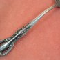PRESENT POMPEII PLACE SPOON STAINLESS FLATWARE SILVERWARE