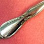 ONEIDA CHATELAINE PLACE SPOON COMMUNITY STAINLESS FLATWARE SILVERWARE