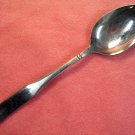 ONEIDA NORWEGIAN WOOD TEASPOON NORTHLAND STAINLESS FLATWARE SILVERWARE