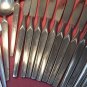 SRI STANLEY ROBERTS CORTINA 20pc STAINLESS FLATWARE SILVERWARE