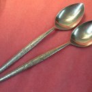 NATIONAL NASCO FLEUR 2 TEASPOONS N S STAINLESS FLATWARE SILVERWARE NATIONAL NASCO FLEUR 2 TEASPOONS N S STAINLESS FLATWARE SILVERWARE