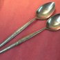 NATIONAL NASCO FLEUR 2 TEASPOONS N S STAINLESS FLATWARE SILVERWARE