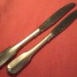 ONEIDA SATIN GLORIA 2 KNVES LTD WM A ROGERS PREMIER STAINLESS FLATWARE SILVERWARE