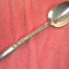 ONEIDA CATALINA PLACE SPOON DECORATORS STAINLESS SILVERWARE FLATWARE
