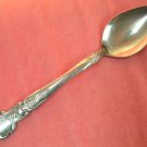NATIONAL ROSE AND & LEAF PLACE SPOON STAINLESS FLATWARE SILVERWARE