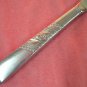 ONEIDA CATALINA PLACE KNIFE DECORATORS STAINLESS SILVERWARE FLATWARE