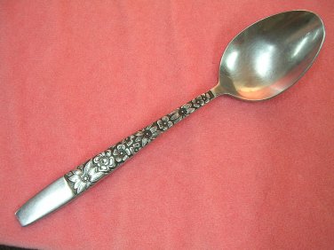 HANFORD FORGE SPRING LAKE PLACE SPOON STAINLESS FLATWARE SILVERWARE
