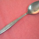 PRESENT LUCINDA TEASPOON STAINLESS FLATWARE SILVERWARE