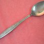 PRESENT LUCINDA TEASPOON STAINLESS FLATWARE SILVERWARE