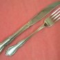 ONEIDA MANSFIELD BAR BERRY CRANFORD FORK & KNIFE LTD WM ROGERS GLOSSY STAINLESS FLATWARE SILVERWARE
