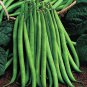 300 PCS Seeds Runner Dwarf Climbing Green Pea