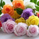 400 PCS Seeds Rose Amazingly Beautiful Indoor Rainbow Roses