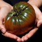 20 PCS Seeds Black Krim Tomato ''Black Sea Man'' Russia Ukrain Heirloom