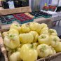 16 PCS Seeds Sweet White Bell Pepper