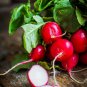 40 PCS Seeds Red Turnip Radish Raphanus Sativus Organic