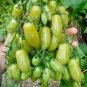 600 PCS Seeds Rarest Dark Green 'MA NAI' Sweet Tomato Organic