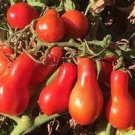 50 PCS Seeds Red 'Pear' Small Tomato