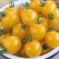 40 PCS Seeds Middle Dark Yellow Tomato with Red Top Organic