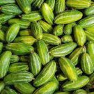 40 PCS Seeds Cucumber Mixed Mini Small Medium Large Vegetable 40 PCS Seeds Cucumber Mixed Mini Small Medium Large Vegetable