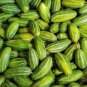 40 PCS Seeds Cucumber Mixed Mini Small Medium Large Vegetable