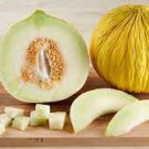 20 PCS Seeds Sweet Melon Redish Orange Inside White Skin Fruit