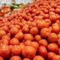 200 PCS Seeds Light Orange Big Juicy Tomato