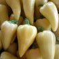 40 PCS Seeds Anhui Yelow Hot Pickled Chili Pepper Organic