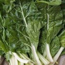 1000 PCS Seeds Green Swiss Chard