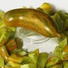 200 PCS Seeds Sausage Green Tomato Organic