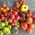 200 PCS Seeds Super Surprise Mix Tomato