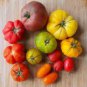 200 PCS Seeds Super Surprise Mix Tomato