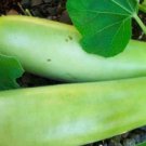 200 PCS Seeds Bottle Gourd NAM Tao Yao (Asian Vegetable)