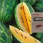 280 PCS Seeds 'Jin Huabao' Gift Yellow Watermelom