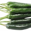 2000 PCS Seeds Jintai Black Line 1.6 F1 Dark Green Line Chili Cayenne Pepper Vegetable 2000 PCS Seeds Jintai Black Line 1.6 F1 Dark Green Line Chili Cayenne Pepper Vegetable