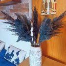 800 PCS Seeds Bulish Black Pampas Grass