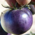 200 PCS Seeds Heirloom Small Bright Purple Tomato Hybrid F1