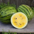 16 PCS Seeds Sweet Yellow Juicy Watermelon 16 PCS Seeds Sweet Yellow Juicy Watermelon